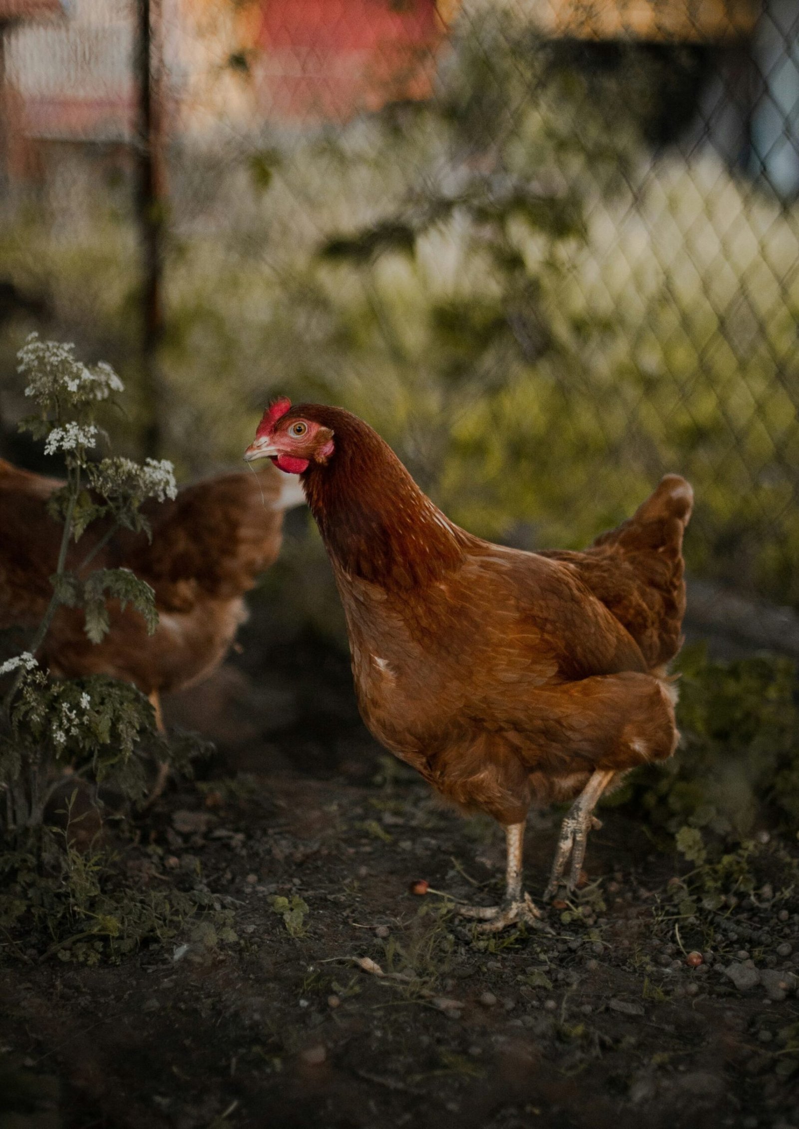 aneta-voborilova-SP7PTQ_Ar94-unsplash aneta-voborilova-SP7PTQ_Ar94-unsplash